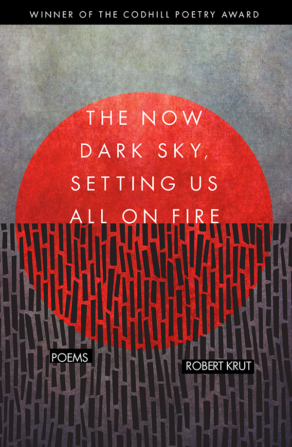 The Now Dark Sky book cover