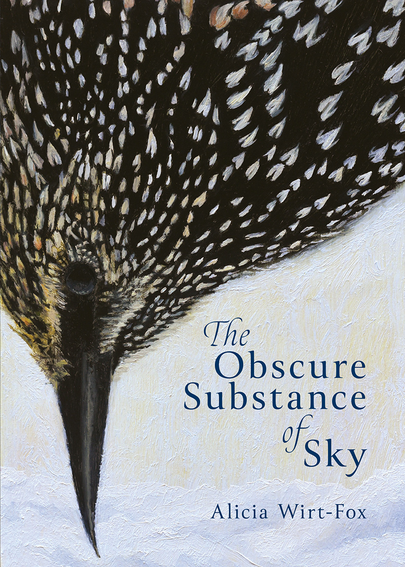 The Obscure Substance of Sky