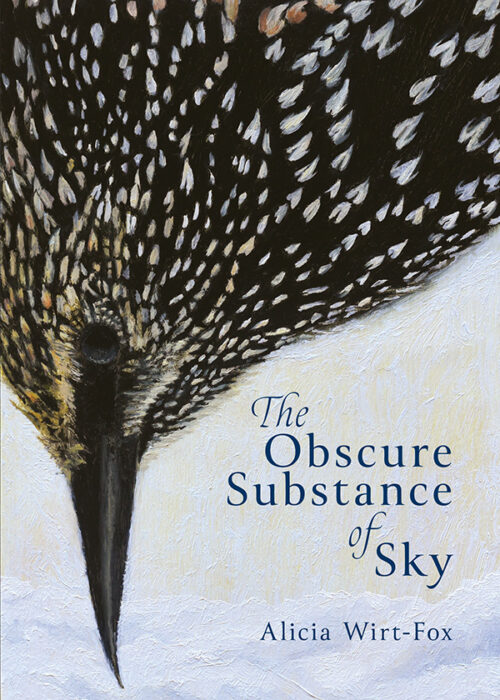 The Obscure Substance of Sky