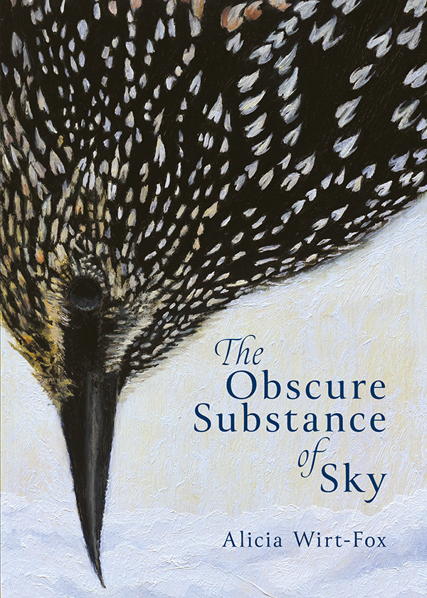 Obscure Substance of Sky