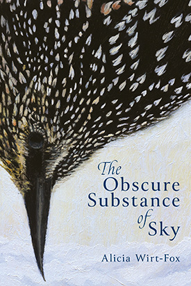 The Obscure Substance of Sky